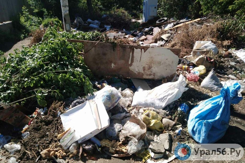    В Новотроицке почти за полмиллиона рублей планируют убрать несанкционированные свалки