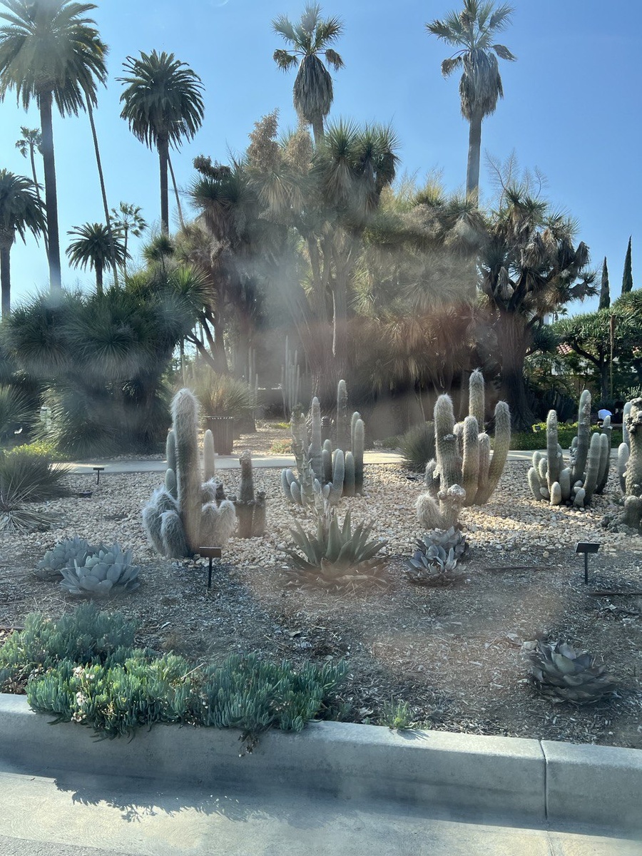 По дороге в Америке. Фото из личного архива 