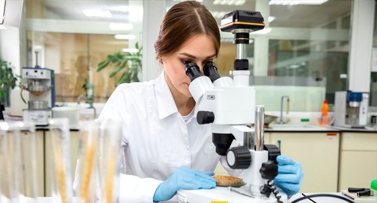    Фото: ФГБУ ЦОК АПК