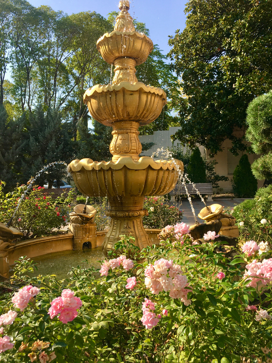 Парк Ривьера в Сочи: Аромат лета в каждом бутоне.