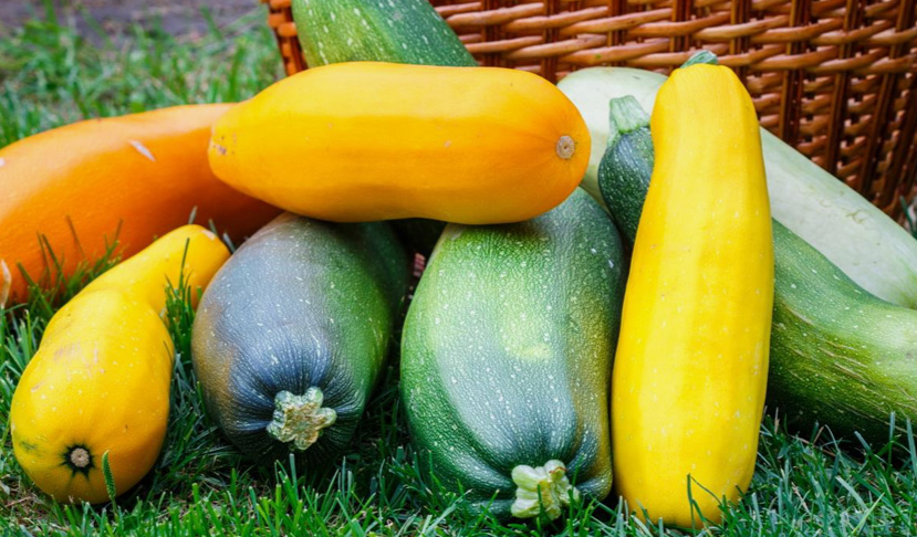 Кабачки требуют правильных условий для хранения.
