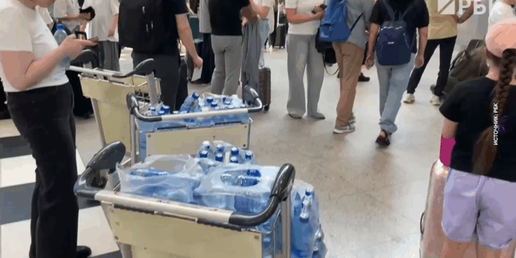    РБК/СКРИНШОТ