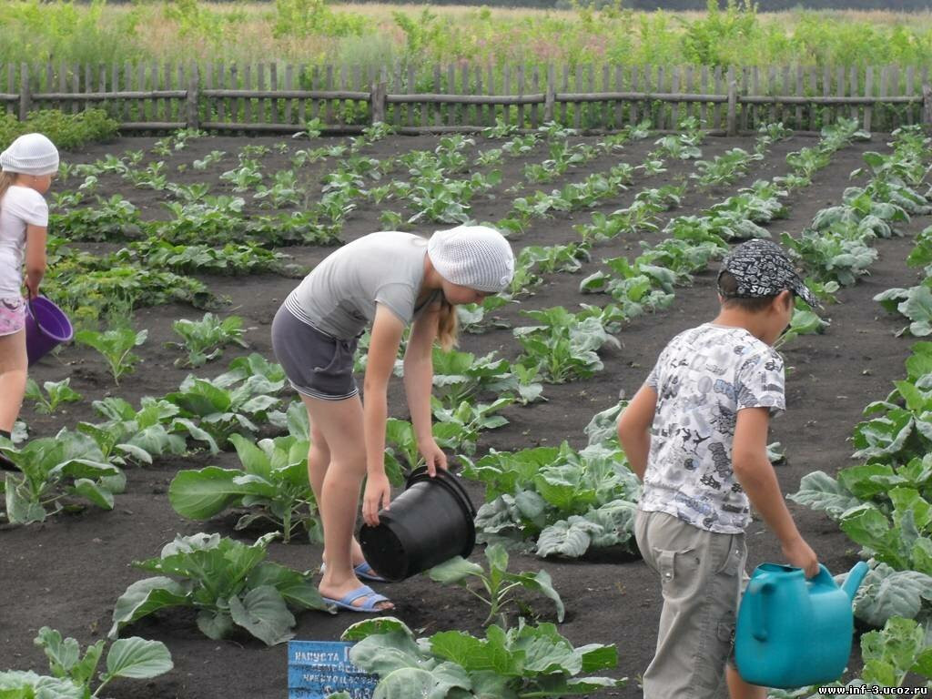 Взято из открытых источников