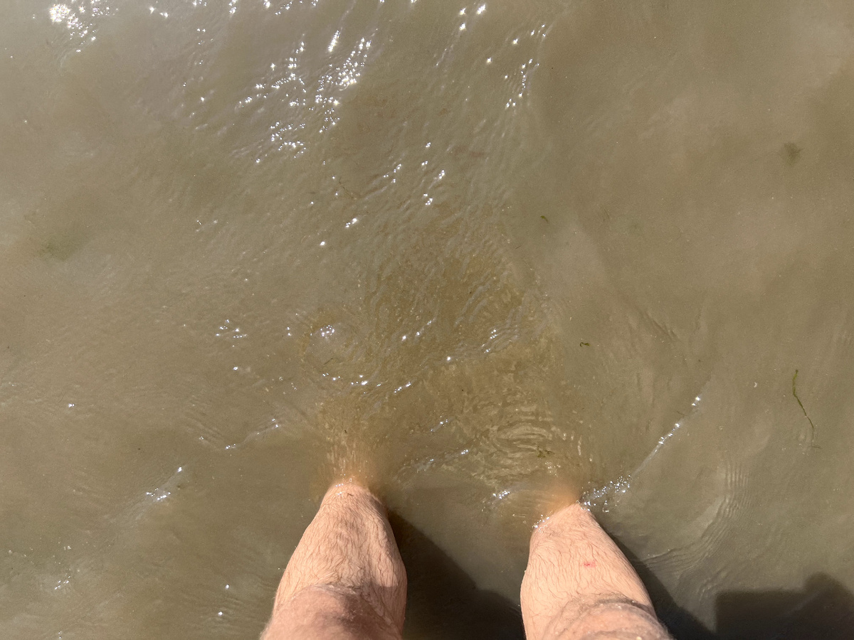 Ноги мужа. Это я сфотографировала не в ту поездку, несколькими годами позже, но суть была ровно такой - это прозрачность воды в Азовском море) 