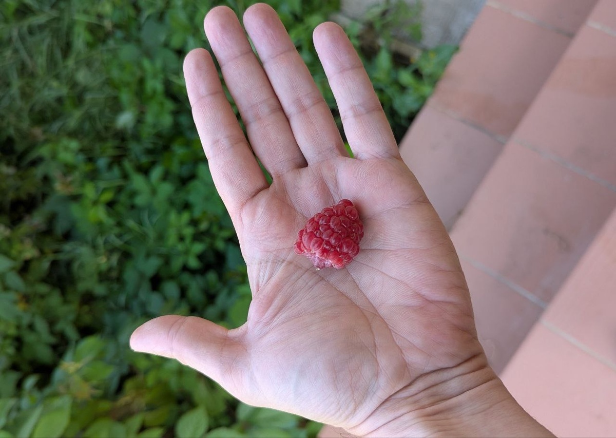 Фото: Ильяс Левашов / «Агроэксперт»