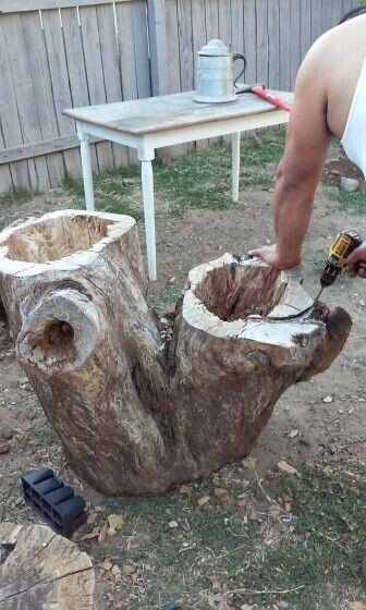 Пень с углублением в 20 сантиметров и более будет хорошим основанием для посадки растений