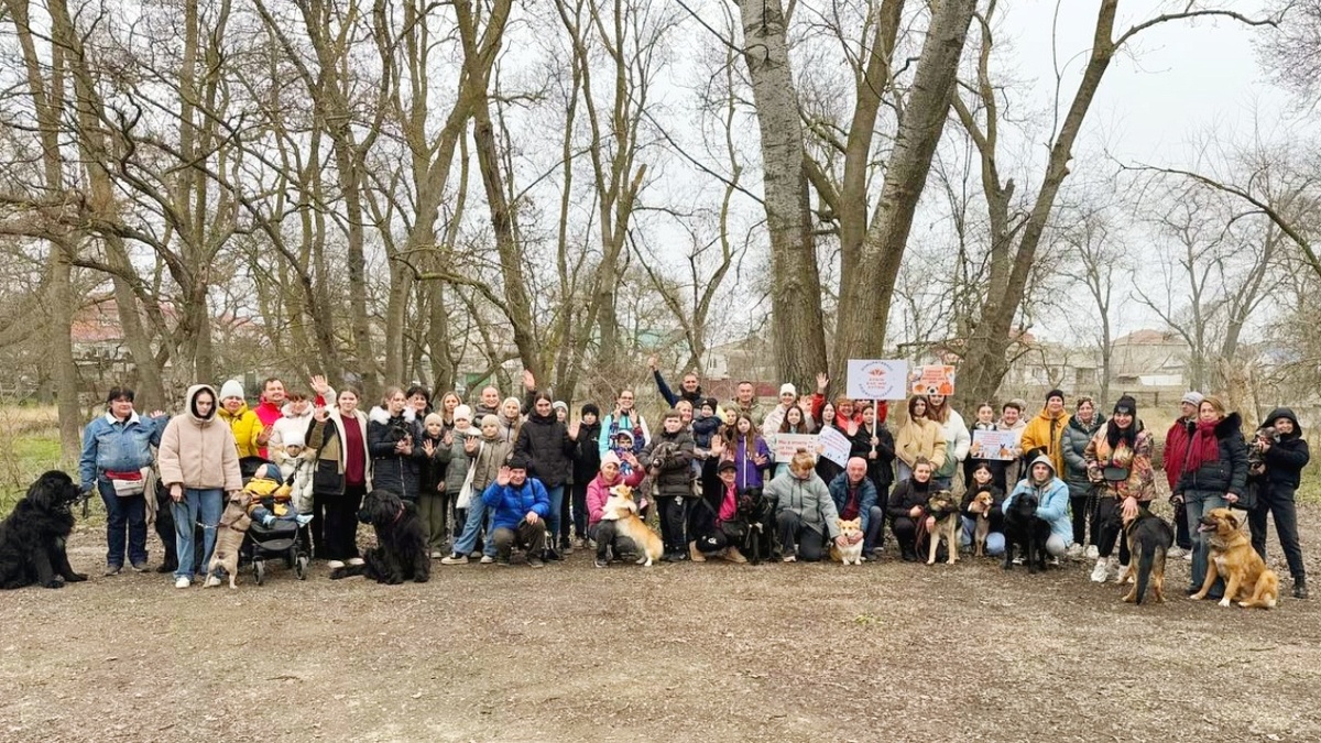 Собрание любителей собак в поселке Черноморское