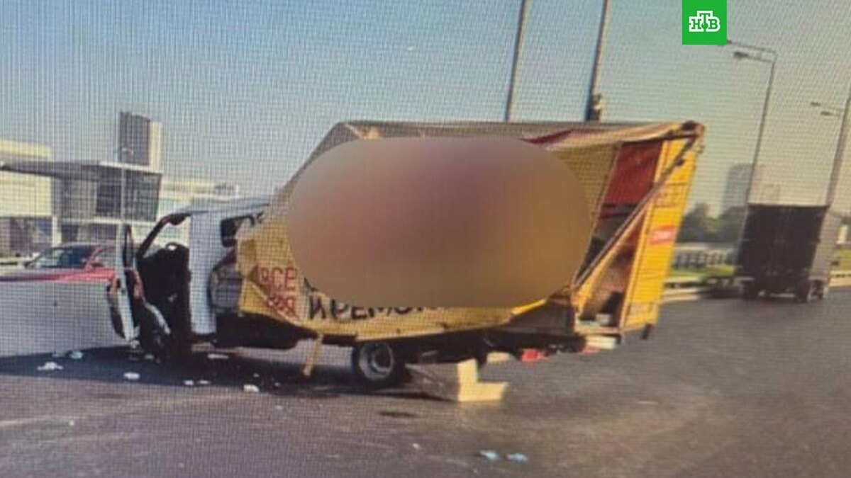    Фото: moscowproc / t.me