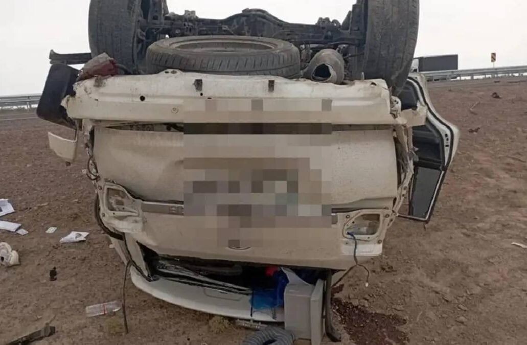     / Источник: Социальные сети