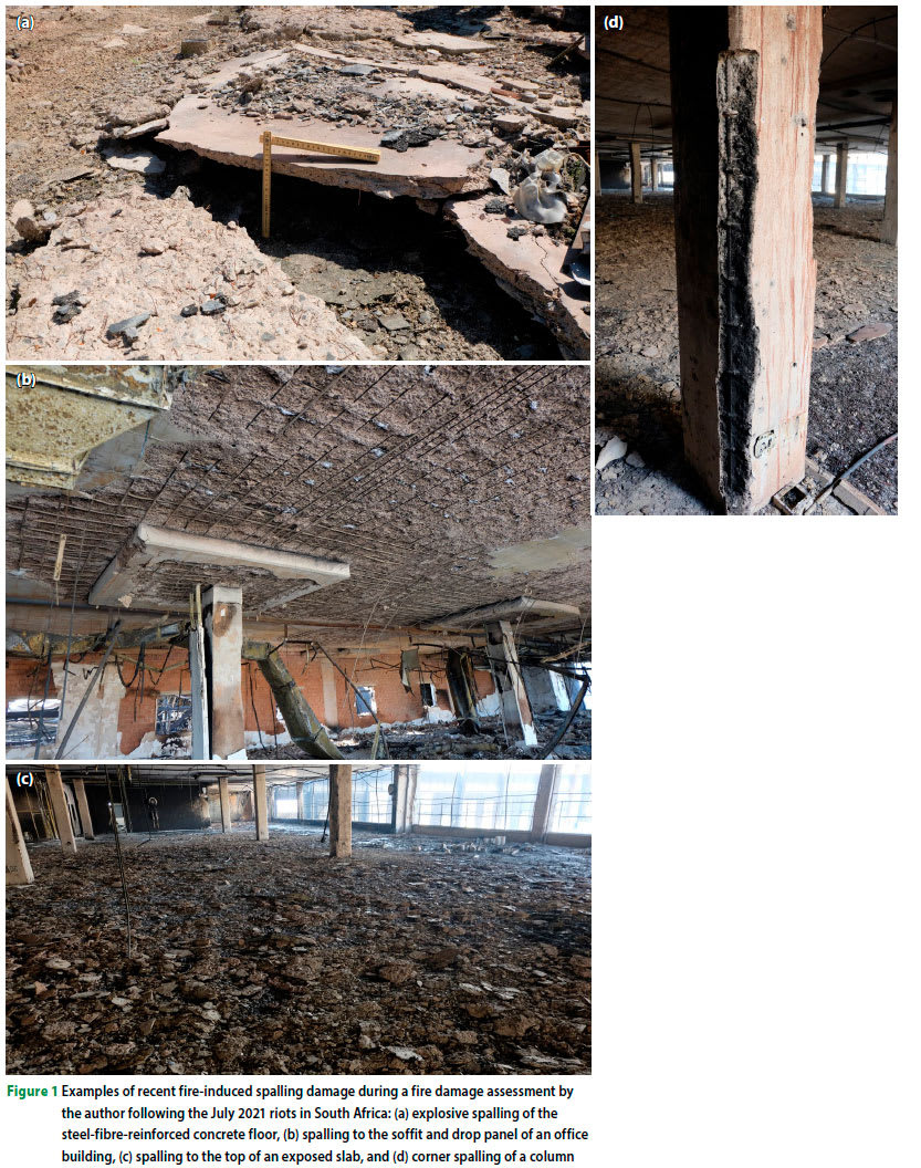 Автор / CC BY 4.0 / scielo.org