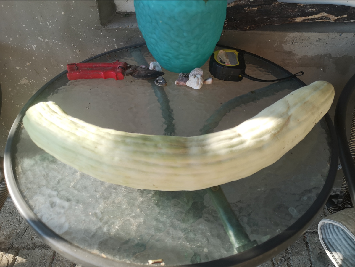 Огурчина🤣🤣🤣