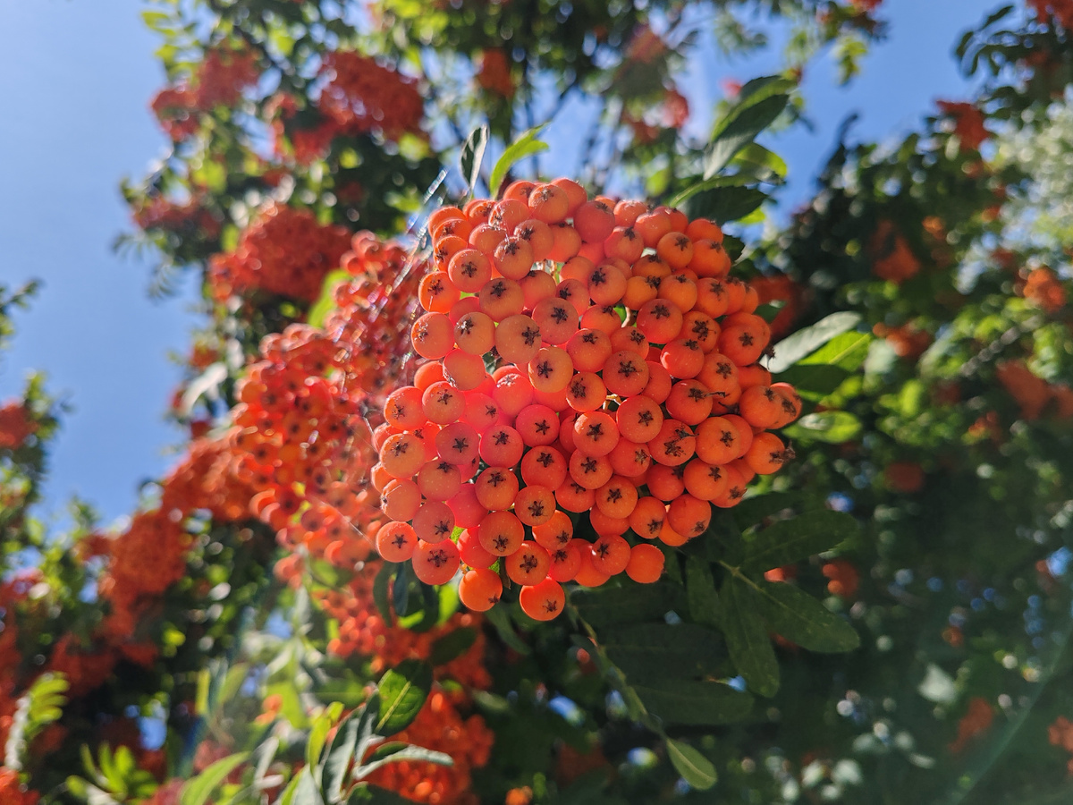 Фото автора канала. 