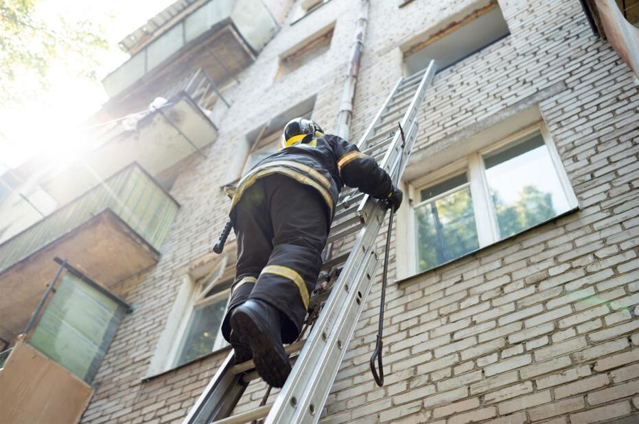    Shutterstock/FOTODOM