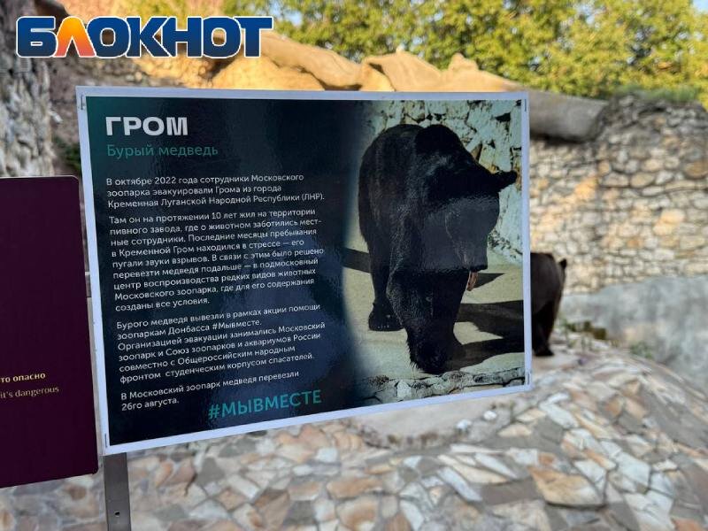 Грома спасли из-под обстрелов