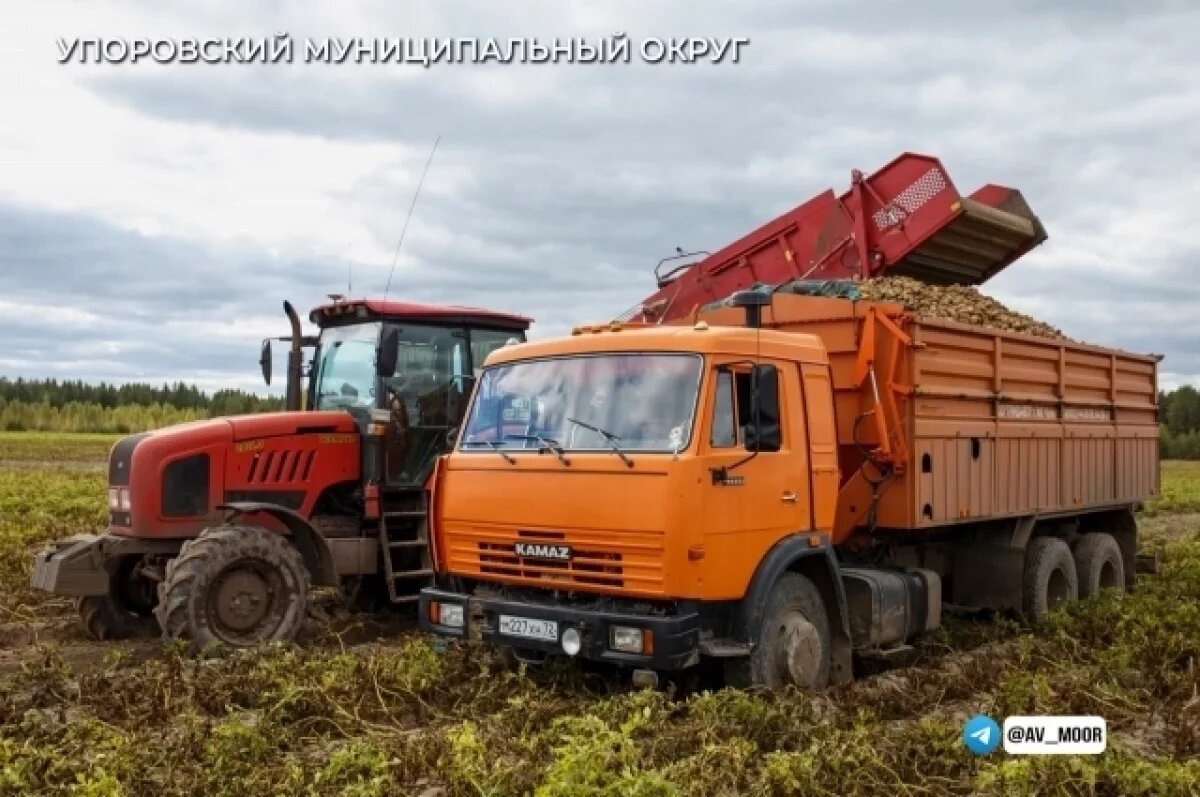    Тюменские аграрии укрепляют сотрудничество с Республикой Беларусь
