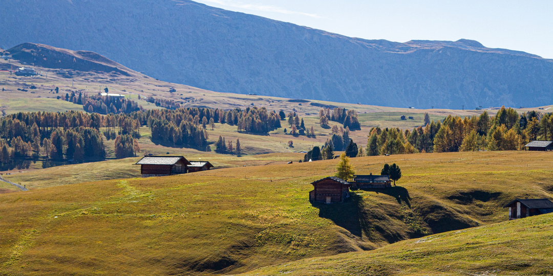 Как удержать врачей на селе: реальные проблемы и пути решения по итогам доклада Народного фронта