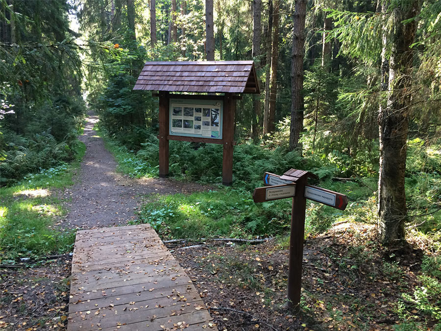 Экотропа расположена в очень живописном месте. Фото с сайта ГКУ «Дирекции особо охраняемых природных территорий Санкт-Петербурга» https://oopt.spb.ru/ 