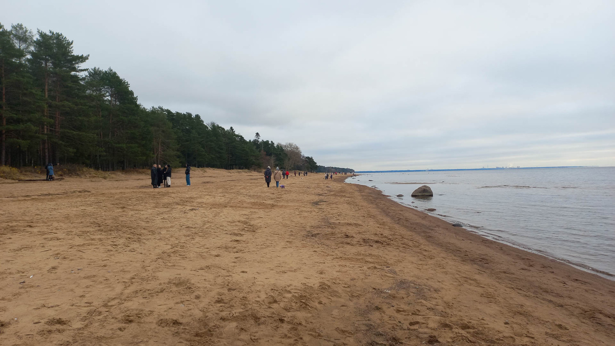 Экотропа «Комаровский берег» выглядит великолепно в любое время года. Фото с сайта "Экотропы России" https://eco-trails.ru/catalog/lenoblast/komarovsky-bereg/ 