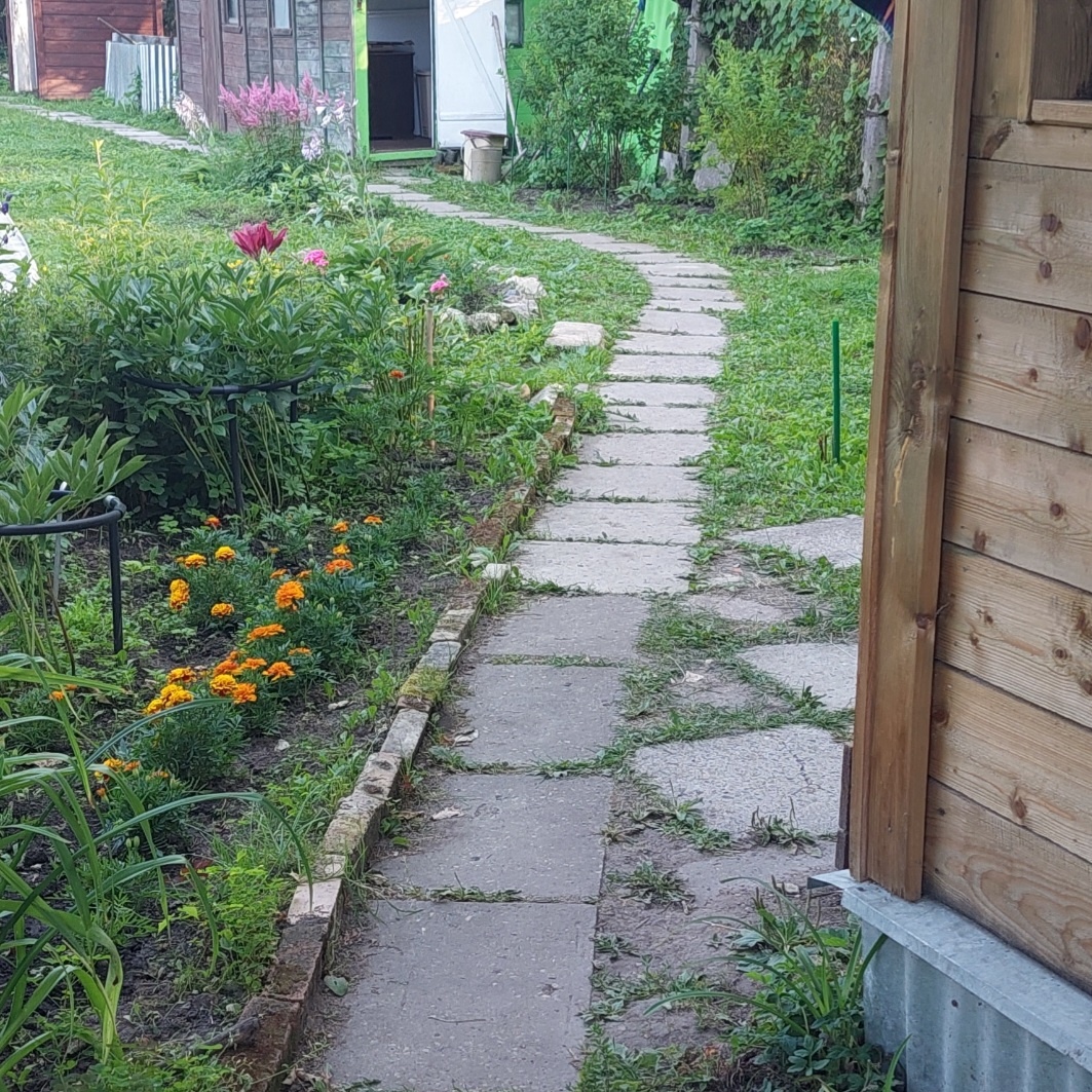 Фото автора.