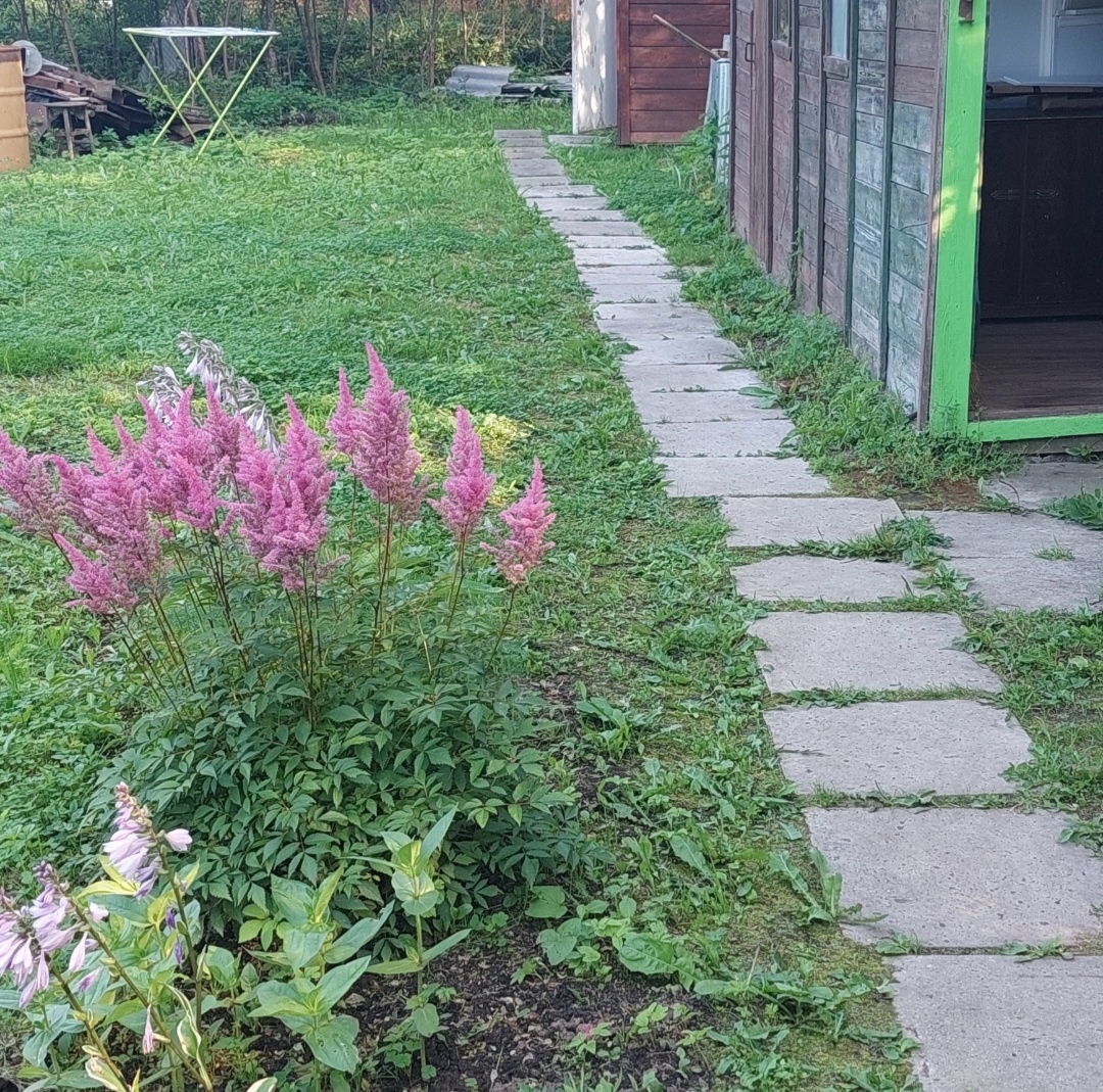 Моя дорожка.