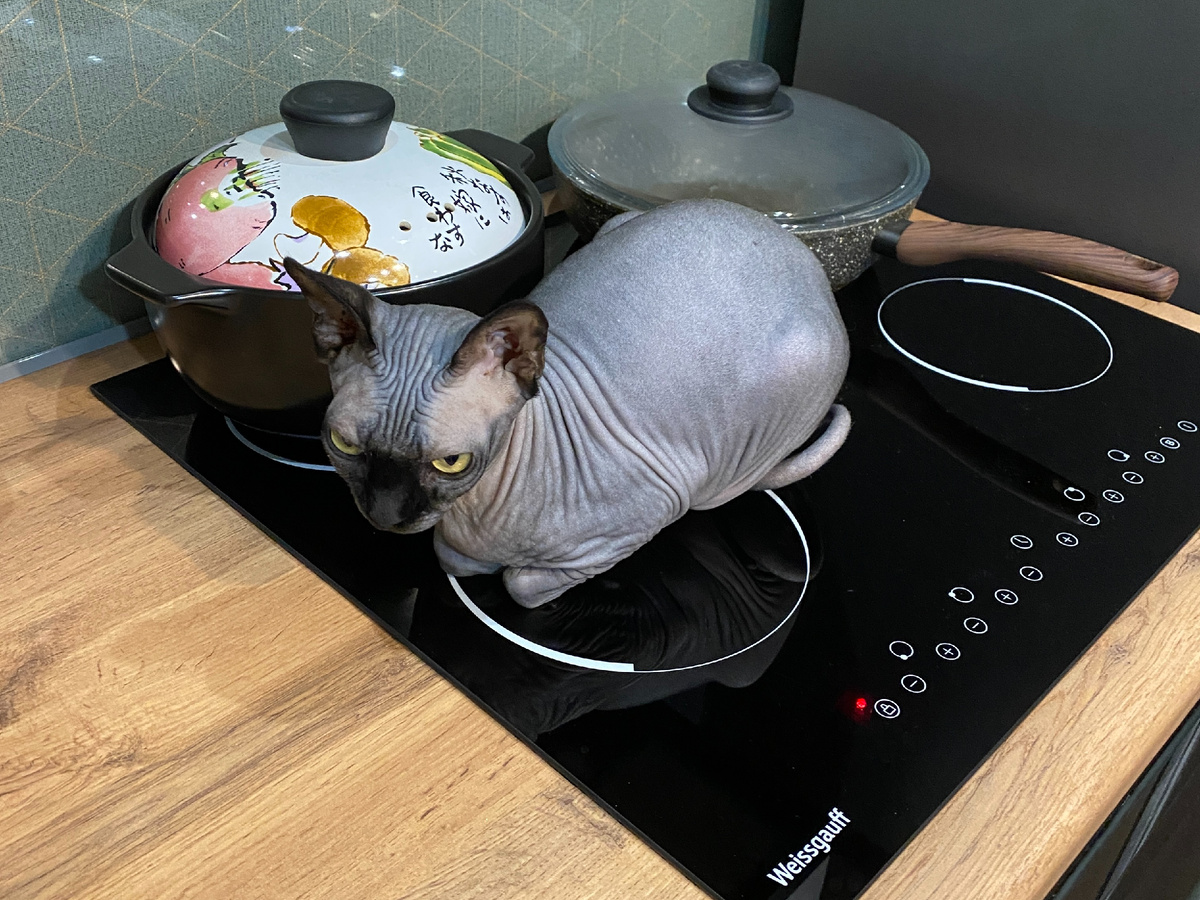 Жарить на медленном огне 10 минут, временами переворачивая :)