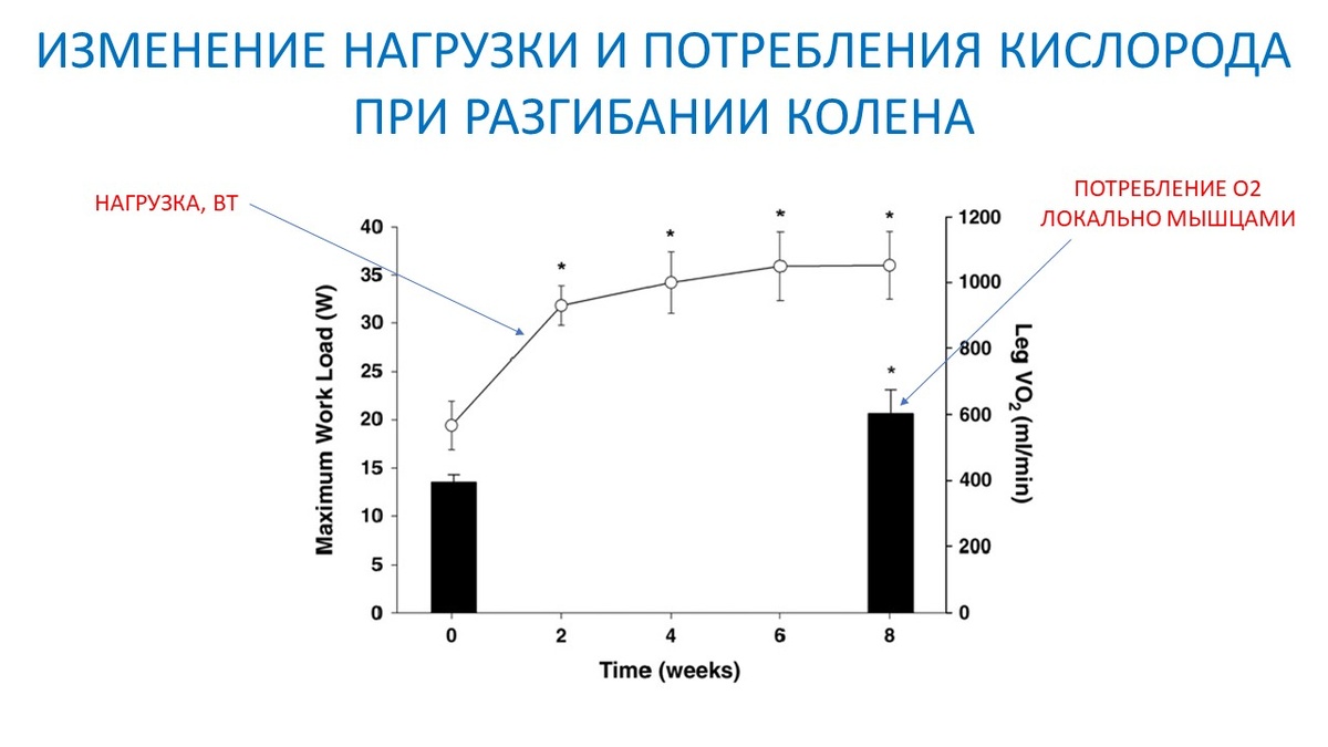 Рисунок 1.  Изменение тренировочной нагрузки в процессе эксперимента и результаты двух тестирований.