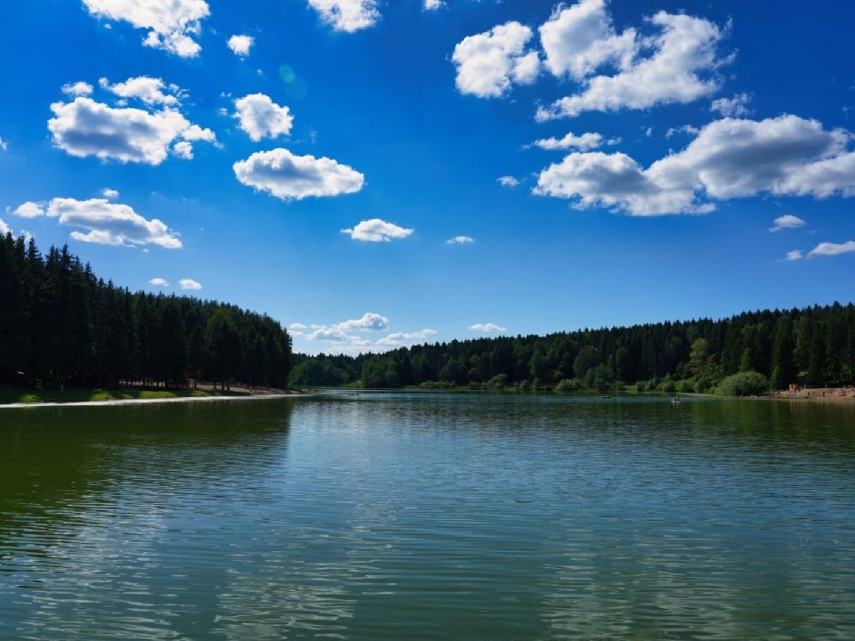    Фото: МедиаБанк Подмосковья/Дмитрий Зайчиков