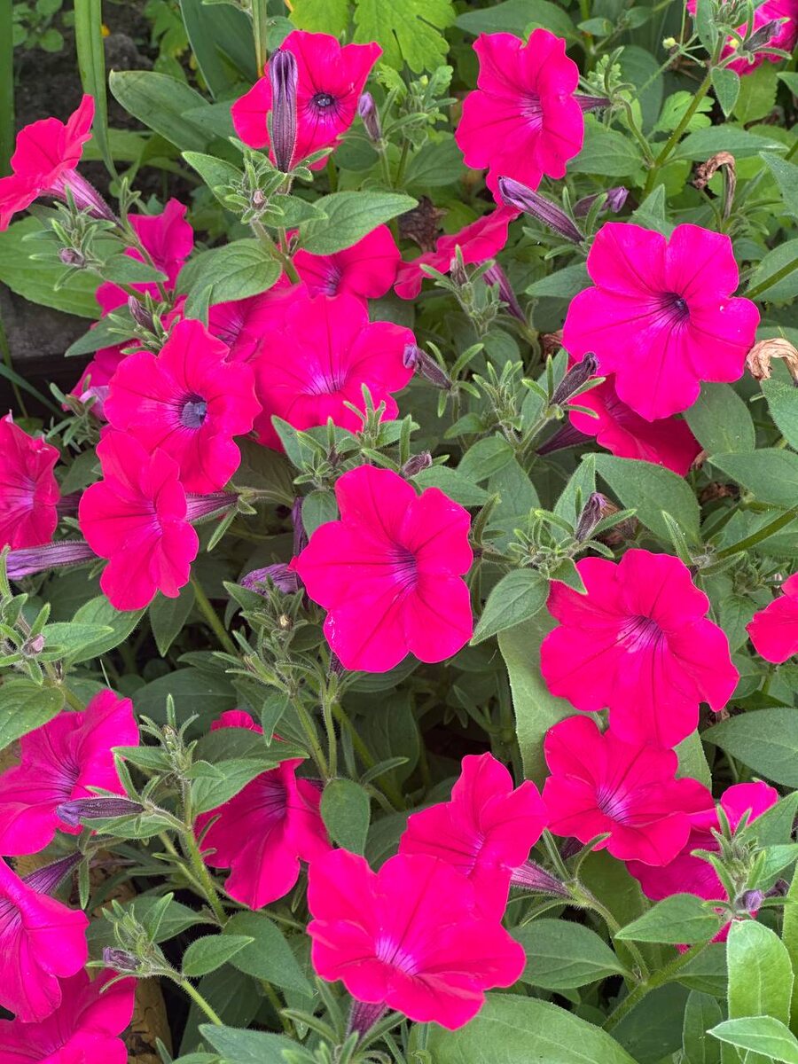 Фотография автора