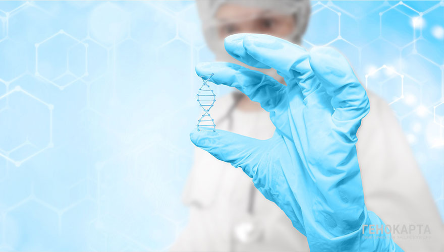 Anastasiya Lavrik // shutterstock.com