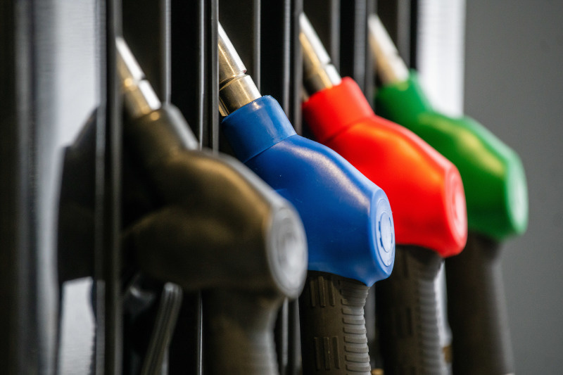    Фото: Ilya Moskovets/Globallookpress