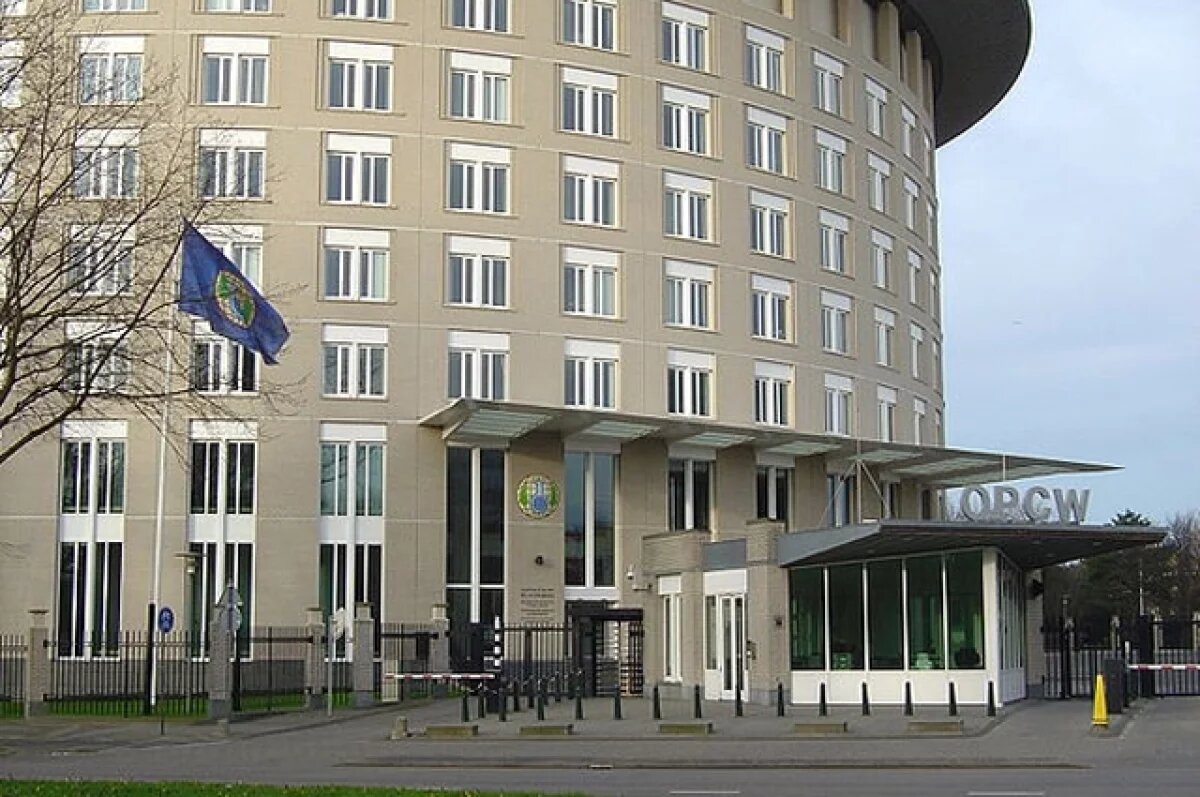    ОЗХО начала рассмотрение запроса РФ о применении Киевом запрещенного оружия