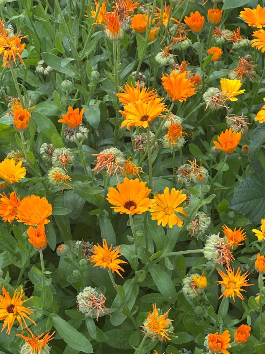 Фотография автора