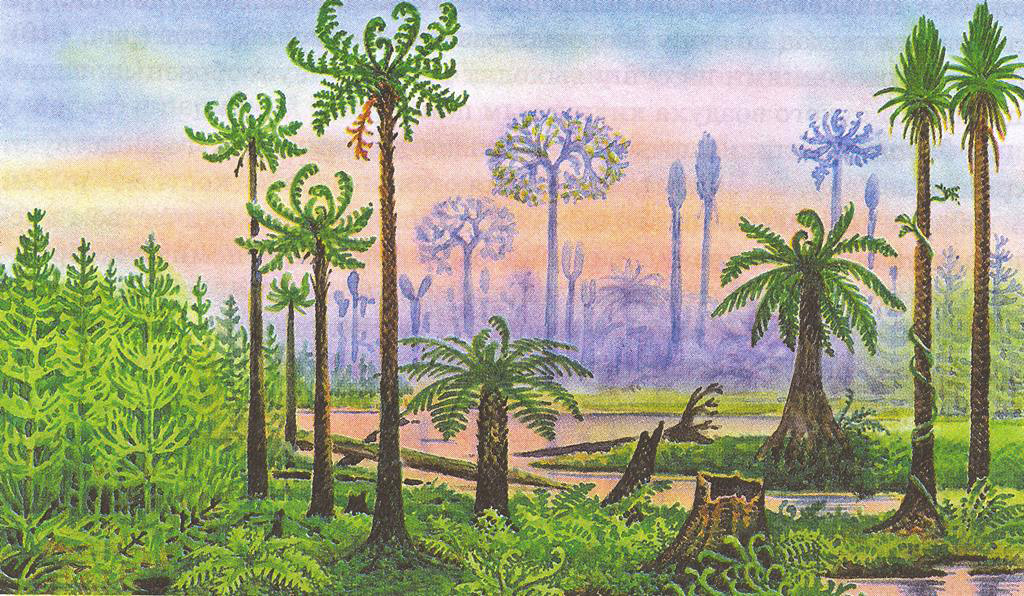 Вымершие древовидные папоротники