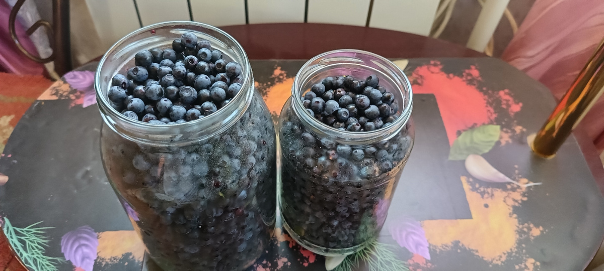 Две довольно большие банки черники за пару дней. 