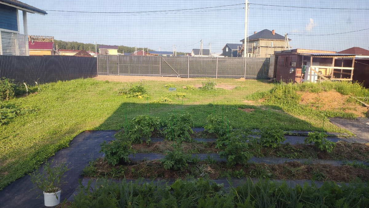 Да, теперь нет моего просторного вида 