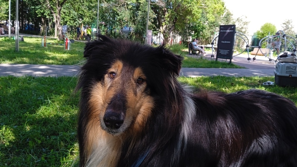 Фото из личного архива