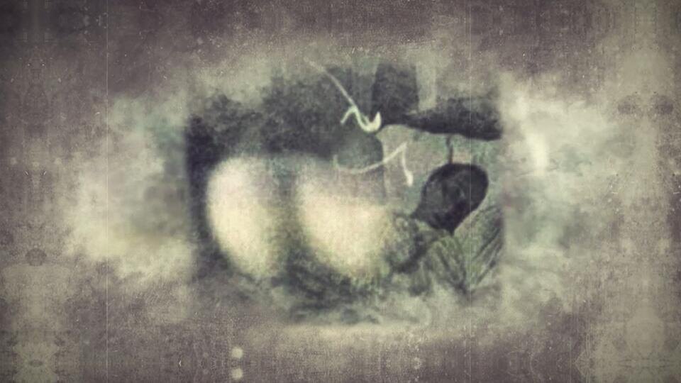 Фото: © Кадр из программы "Легенды и мифы", РЕН ТВ