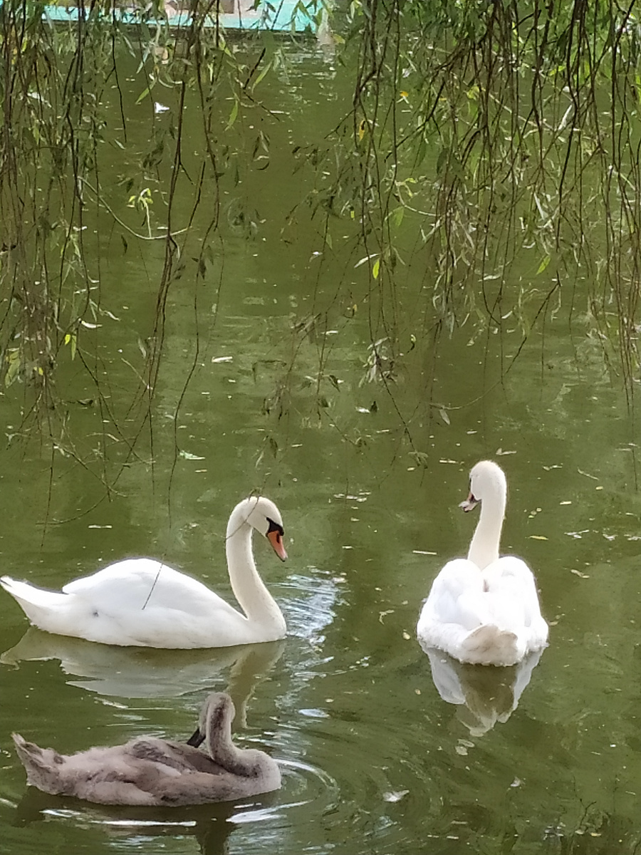 Фото автора 