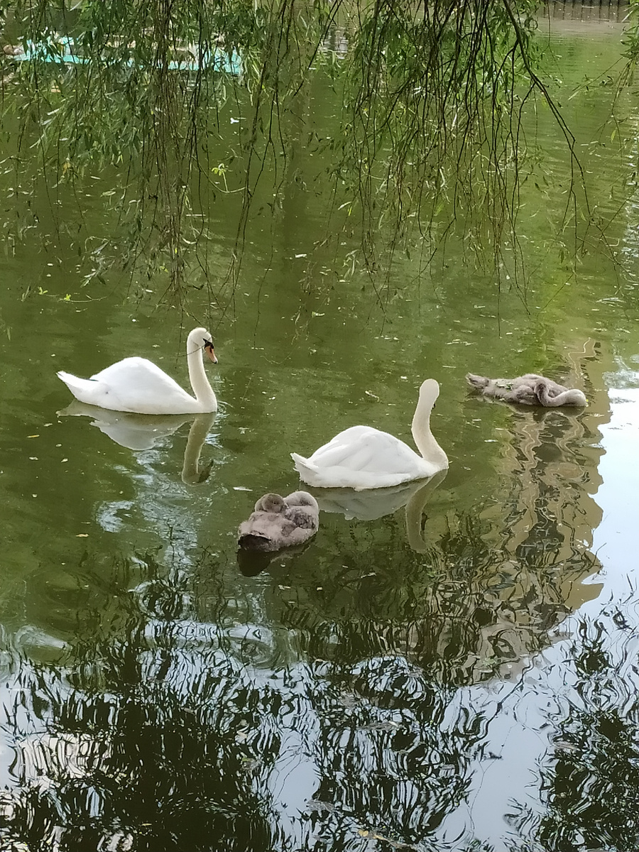 Фото автора 