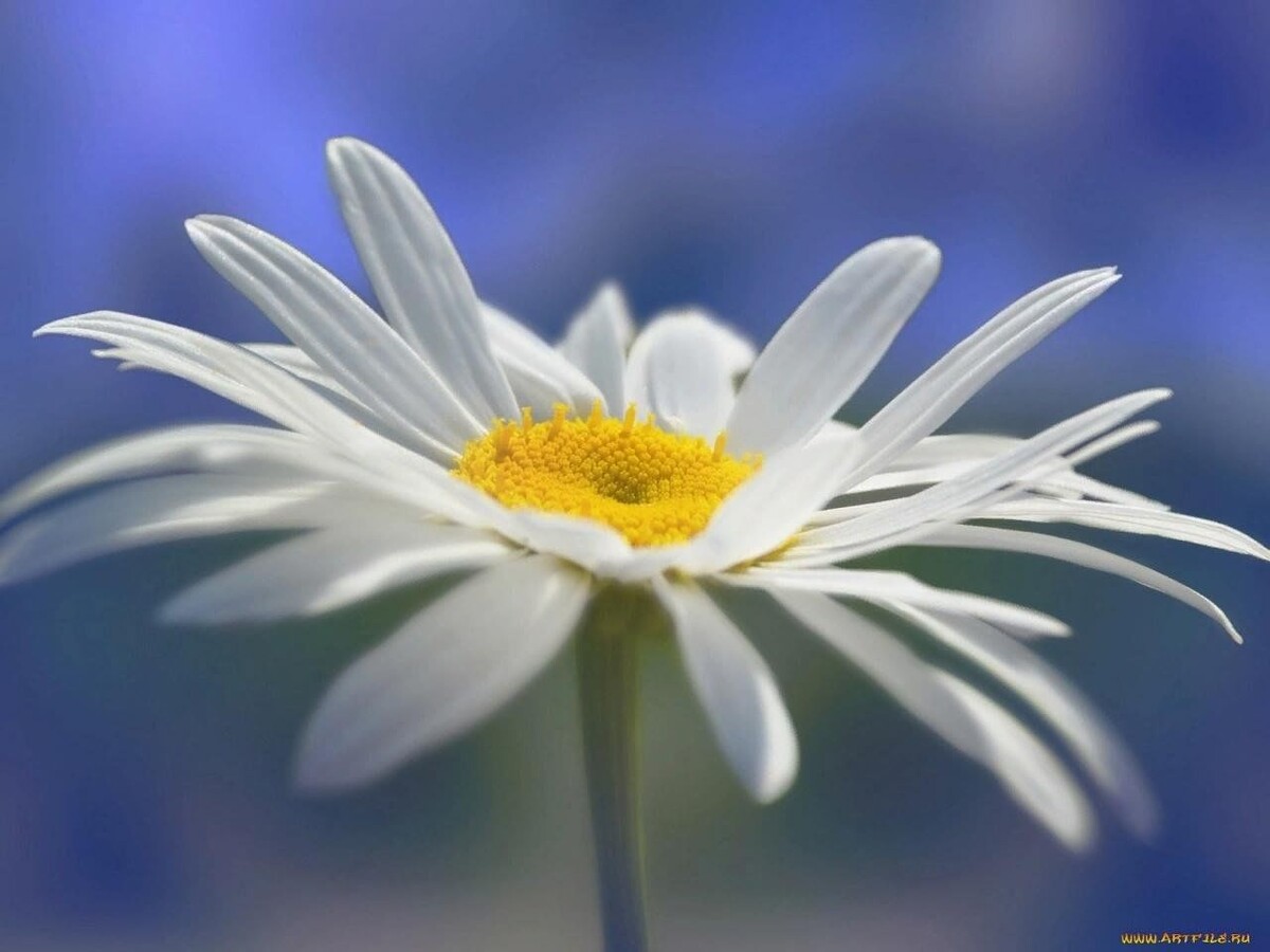 #самосовершенствование