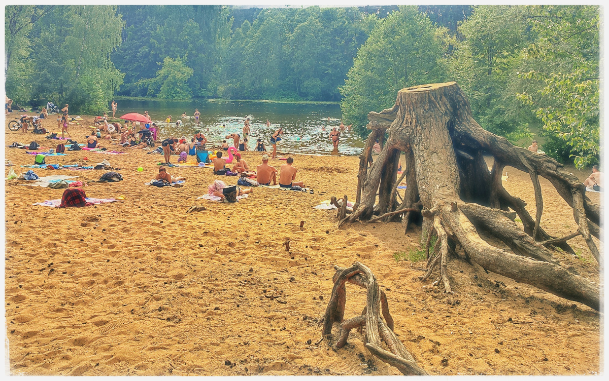 Народ купается 