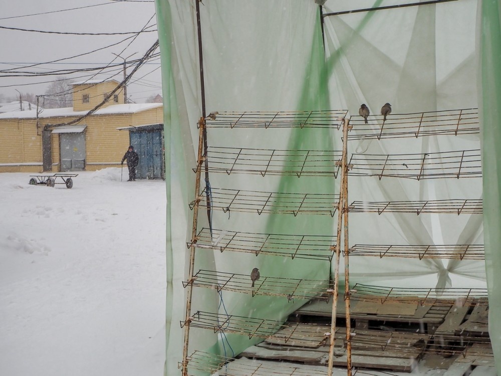    Победитель «АРГУС - 2024». Евгений Степанов, argusphotocontest.ru