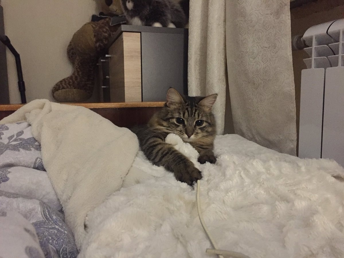 источник Яндекс-картинки