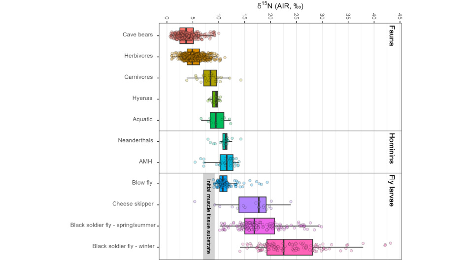   Melanie M. Beasley et al. / Science Advances, 2025