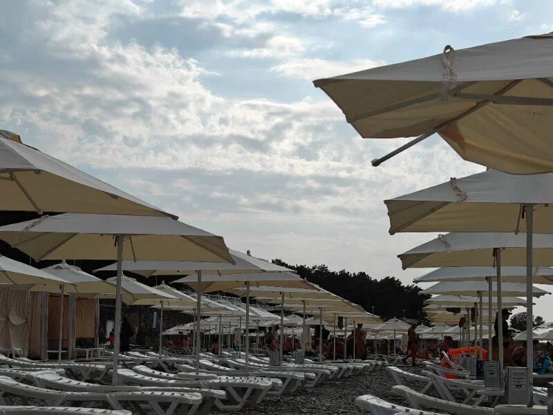    Фото: Юрий Серебренников/BFM Кубань