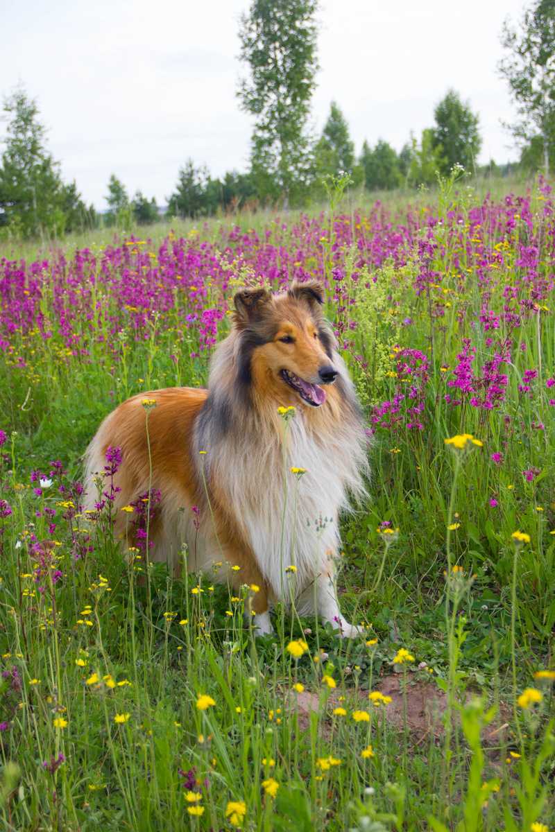 Фото из личного архива