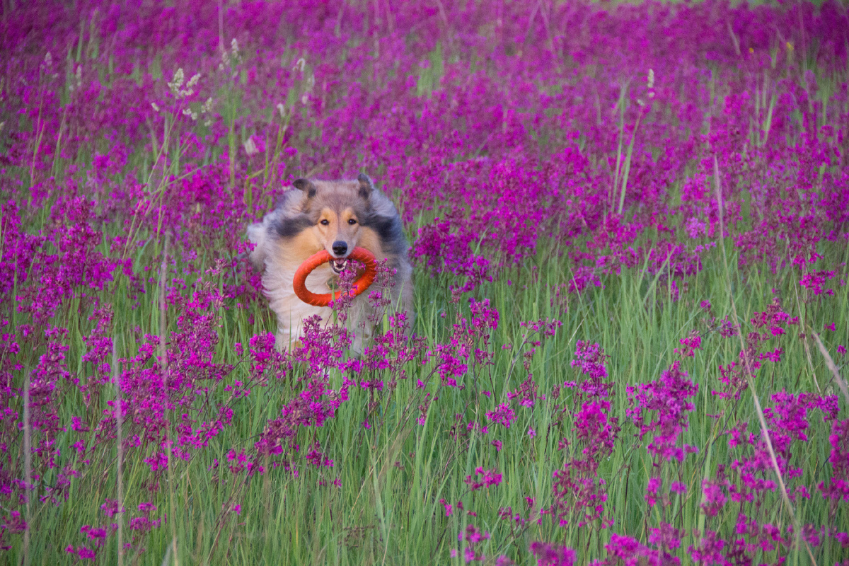 Галерею можно листать. Фото из личного архива