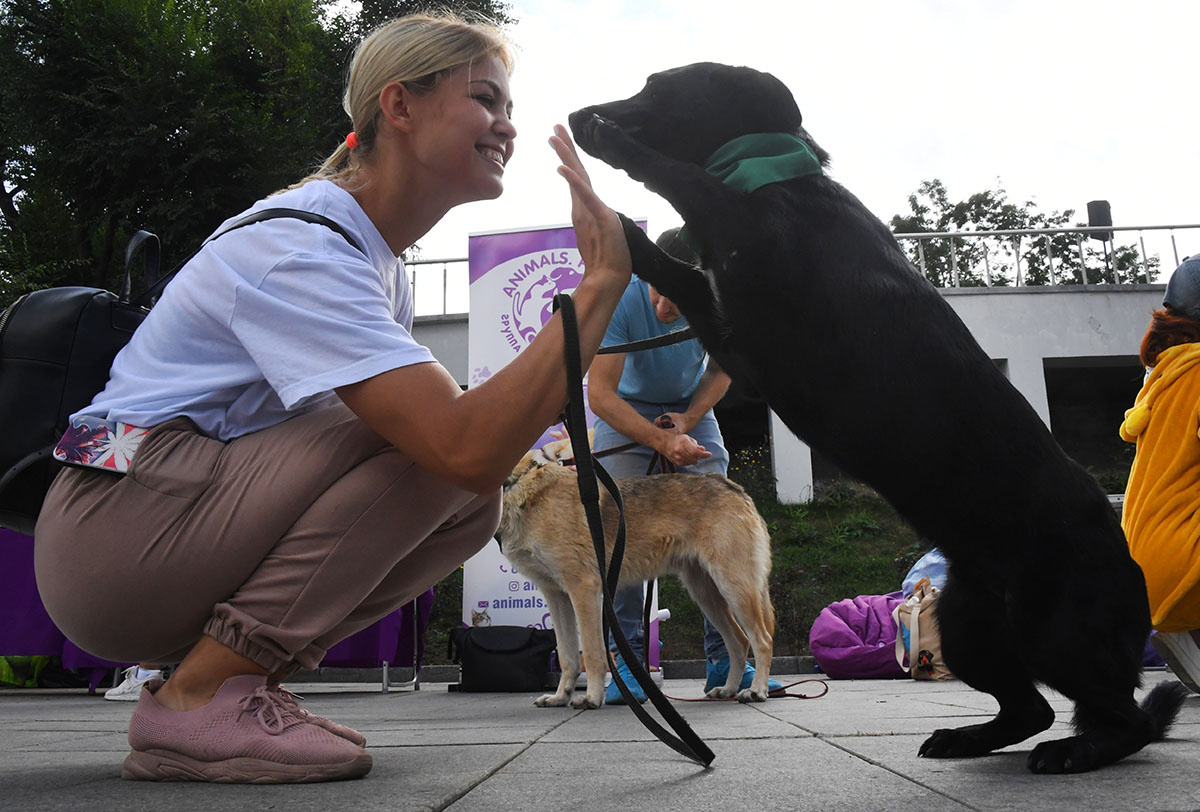 ©Виталий Аньков / РИА Новости