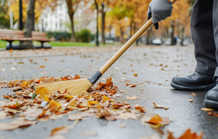 Фотобанк Лори