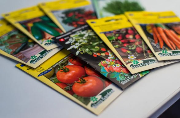     Фото: dreamstime.com